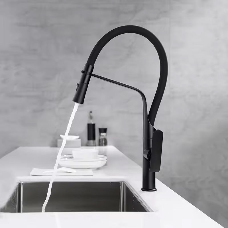Kuchyňská baterie REA CASTOR - matná černá  6