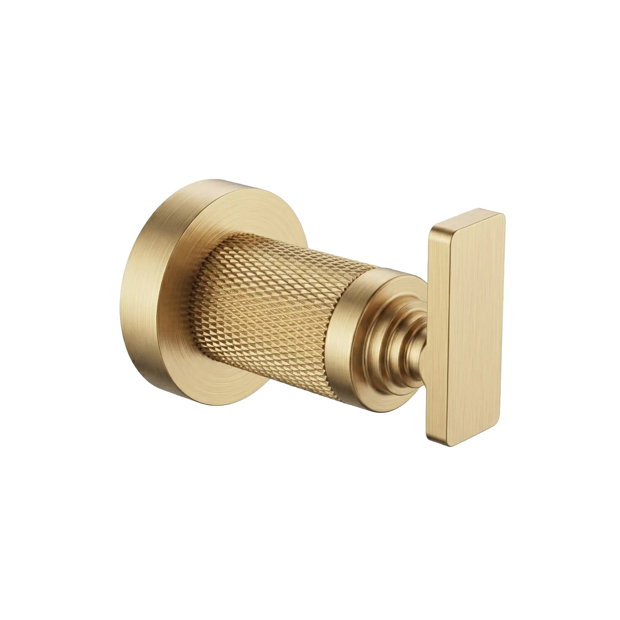 Koupelnový háček 81304 Rivo Brush Gold  1