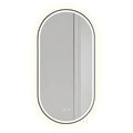 Zrcadlo LED OVL 50x100cm Black  1