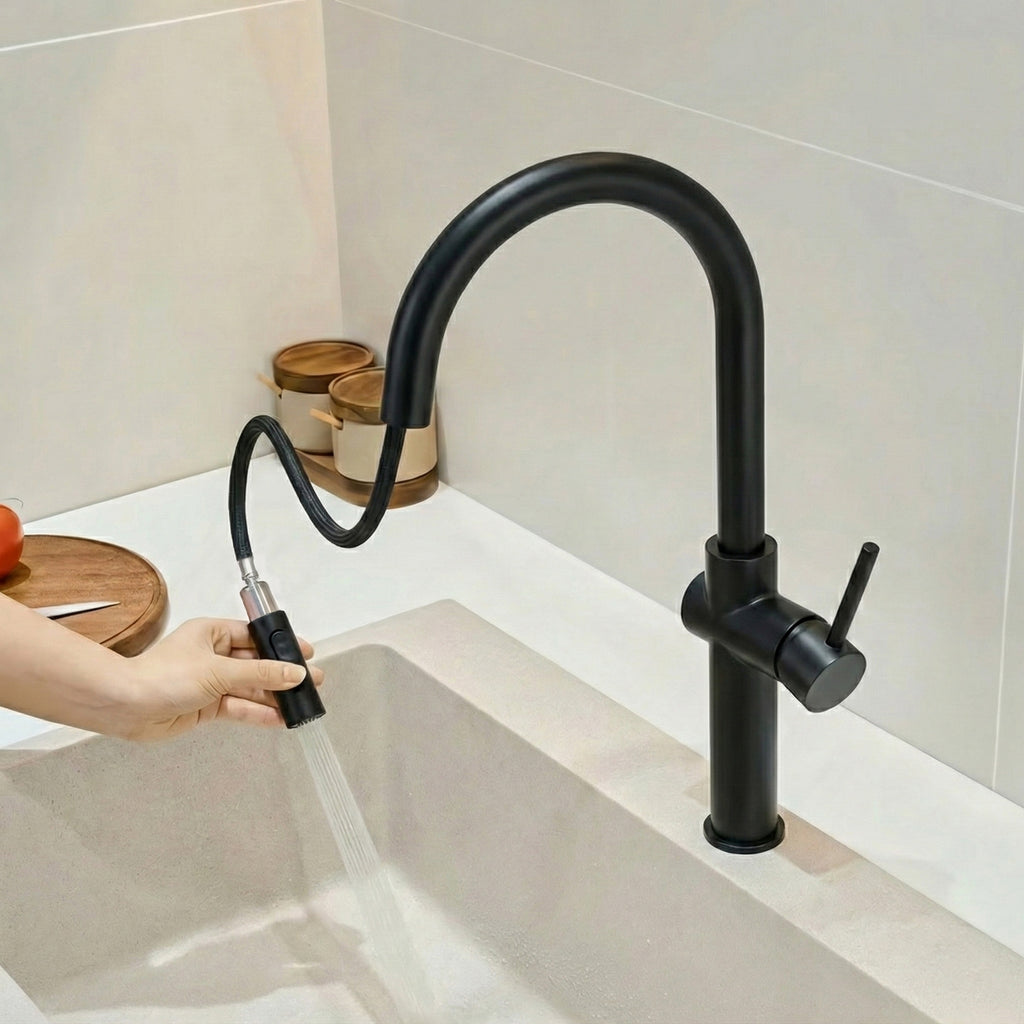 Kuchyňská baterie Rea Fresh High Black  4