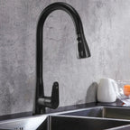 Kuchyňská baterie Rea Mild black mat  7