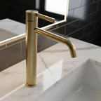 Umyvadlová baterie REA Foster Brush Gold High  3