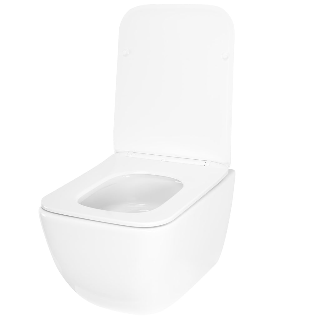 WC mísa bez splachovacího okruhu Rea Dexter Tornado  5