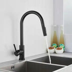 Kuchyňská baterie Rea Fresh black mat  9