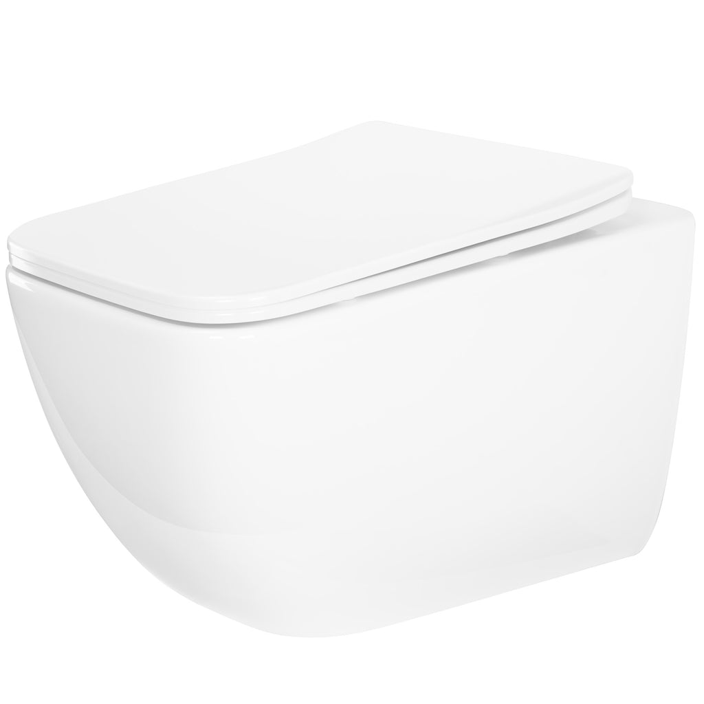 WC mísa bez splachovacího okruhu Rea Dexter Tornado  1