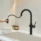Kuchyňská baterie Rea Fresh High Black  3